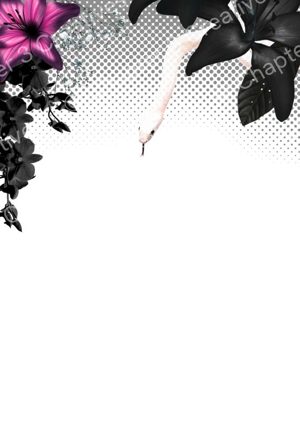 Custom chapter header in pink