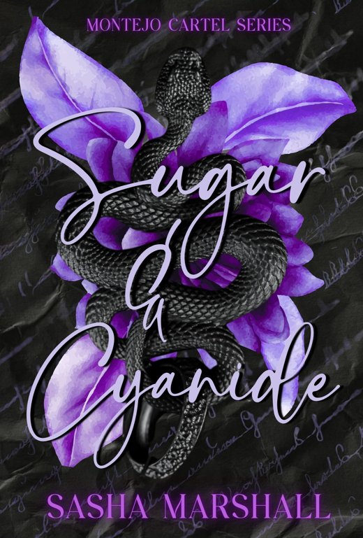 Book cover designed by Chapter 3 Creatives